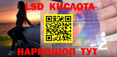 индика Владикавказ