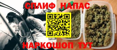 индика Владикавказ