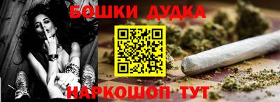 индика Владикавказ