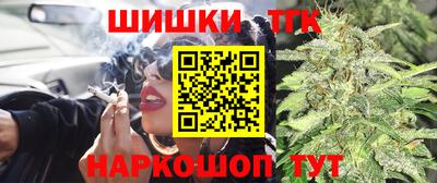индика Владикавказ
