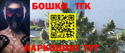 индика Владикавказ