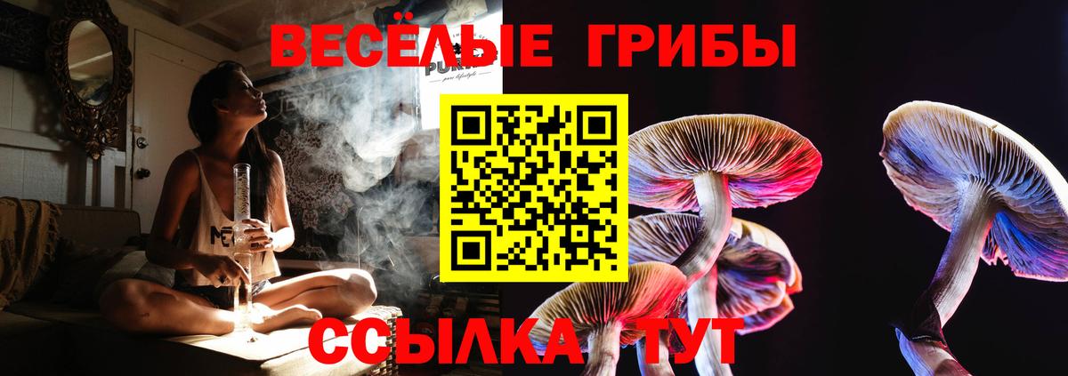 Псилоцибиновые грибы ЛСД  Вход с VPN  наркотики  Орёл  Галлюциногенные грибы Cubensis 